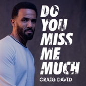 Craig David