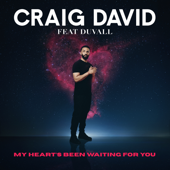 Craig David