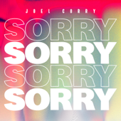 Joel Corry