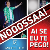 Michel TelÃ³