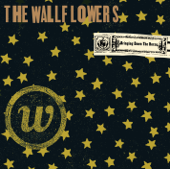 The Wallflowers