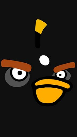 IPhone 5 Background Angry Birds 06