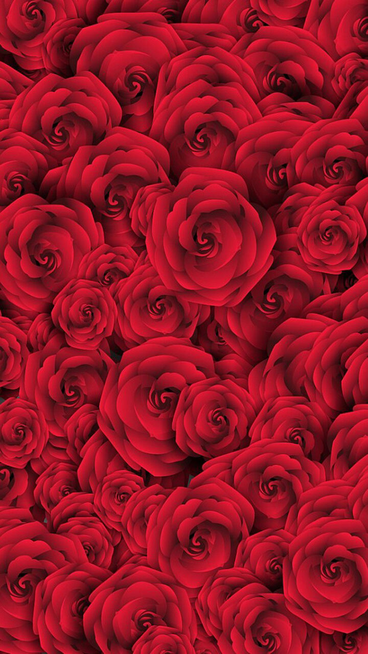 Flowers Red Roses Wallpaper